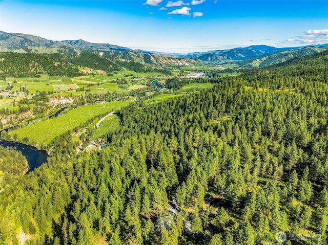 981 Nighthawk Ridge Ln, Leavenworth, WA 98826