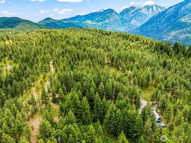 981 Nighthawk Ridge Ln, Leavenworth, WA 98826