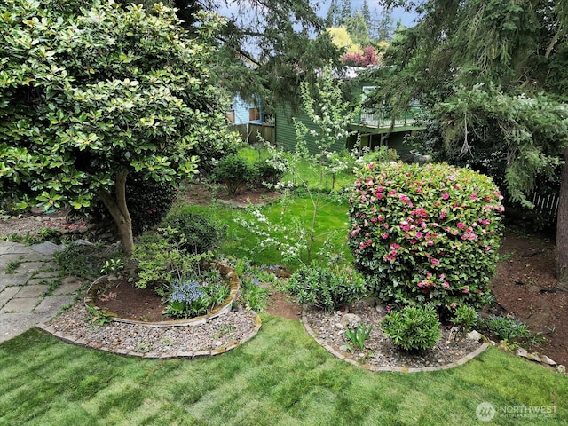 16112 Densmore Ave N, Shoreline, WA 98133 - view of grassy yard