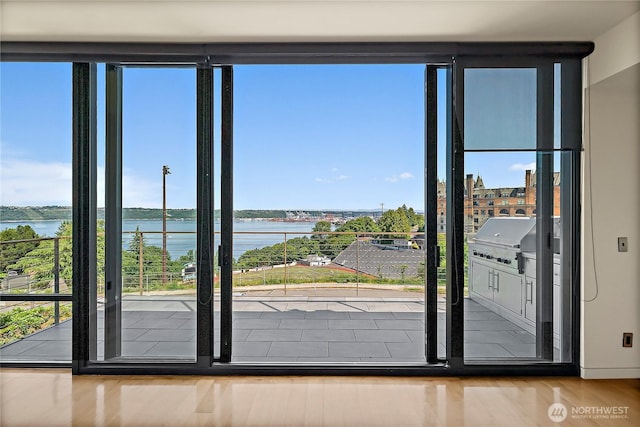302 N Stadium Way Unit 302, Tacoma, WA 98403 - entryway with a water view, healthy amount of natural light, and wood finished floors