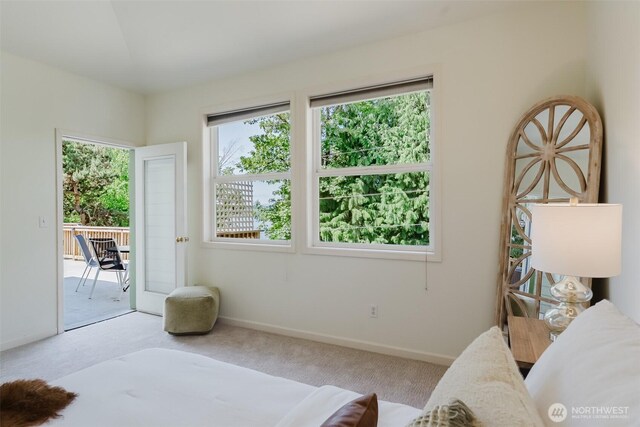 2921 Haggin St, Bellingham, WA 98226 - bedroom featuring access to outside, carpet, and baseboards