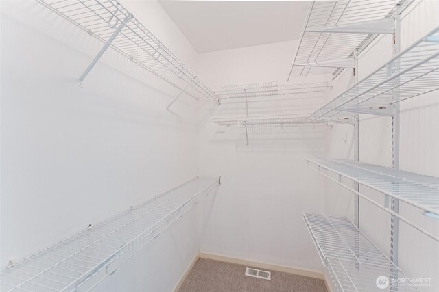 2921 Haggin St, Bellingham, WA 98226 - view of walk in closet