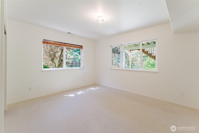 2921 Haggin St, Bellingham, WA 98226 - unfurnished room with plenty of natural light, carpet floors, and baseboards