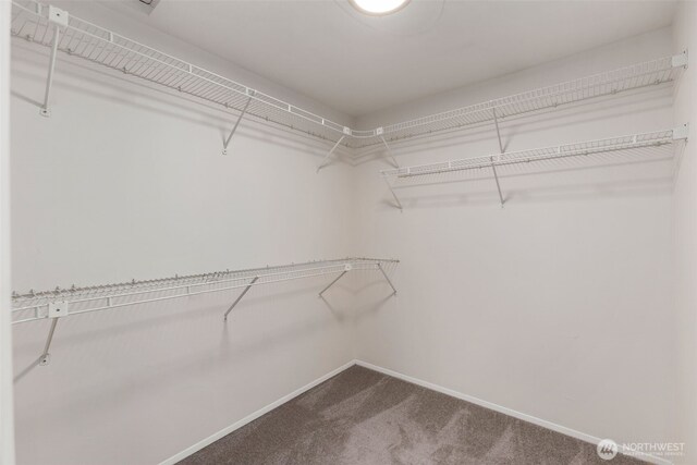 11408 115th Ln NE, Kirkland, WA 98033 - photo 26