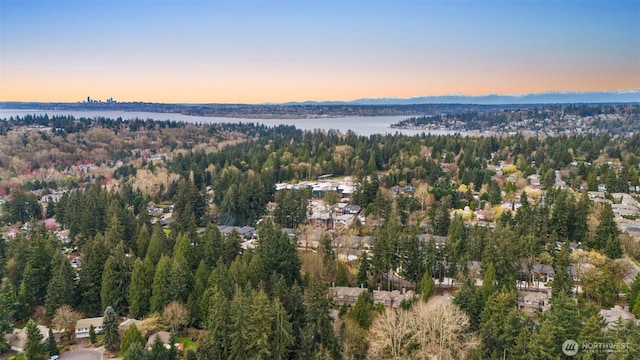 11408 115th Ln NE, Kirkland, WA 98033 - photo 34