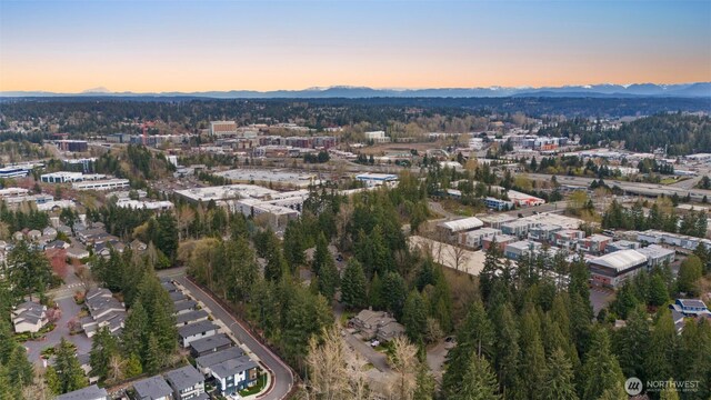 11408 115th Ln NE, Kirkland, WA 98033 - photo 35
