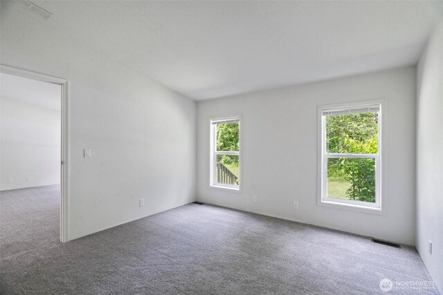 7515 304th St E, Graham, WA 98338 - photo 23