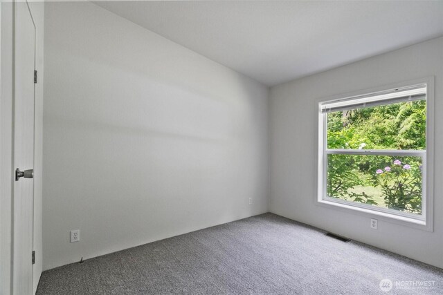 7515 304th St E, Graham, WA 98338 - photo 27