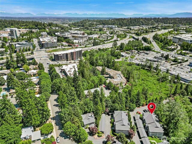 11309 NE 128th St Unit F302, Kirkland, WA 98034 - aerial overview of property's location with mountains