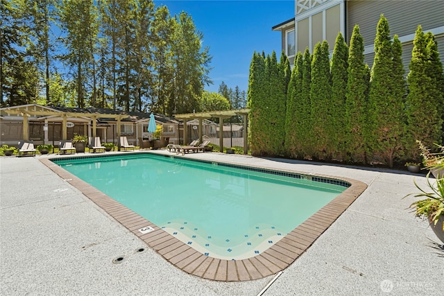 11309 NE 128th St Unit F302, Kirkland, WA 98034 - community pool featuring a pergola and a patio