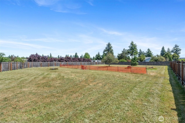 9445 181st Way SW, Rochester, WA 98579 - view of yard