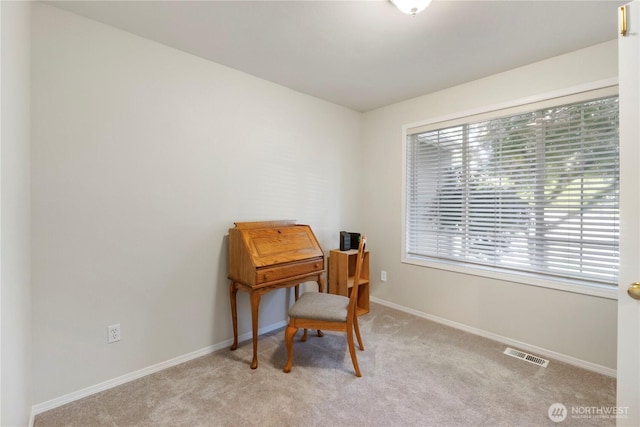 16706 90th Ave E, Puyallup, WA 98375 - photo 15
