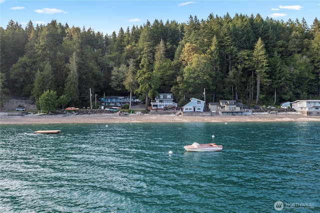 8410 NE N Shore Rd, Belfair, WA 98528 - photo 33