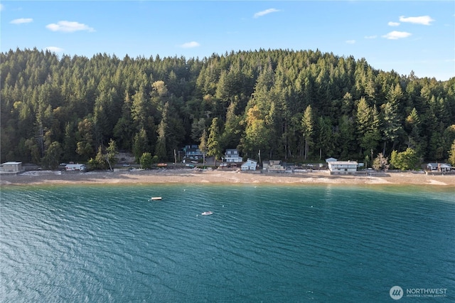 8410 NE N Shore Rd, Belfair, WA 98528 - photo 1