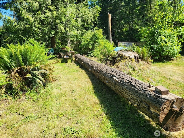 23300 135th St NE, Granite Falls, WA 98252 - photo 16