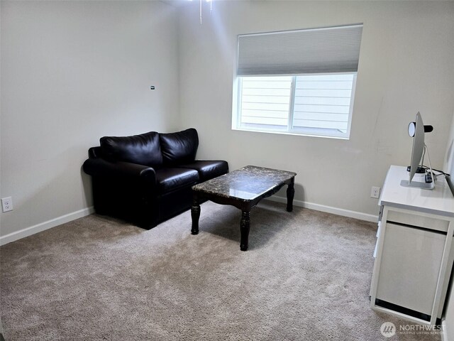 18918 105th Ave E, Puyallup, WA 98374 - photo 14