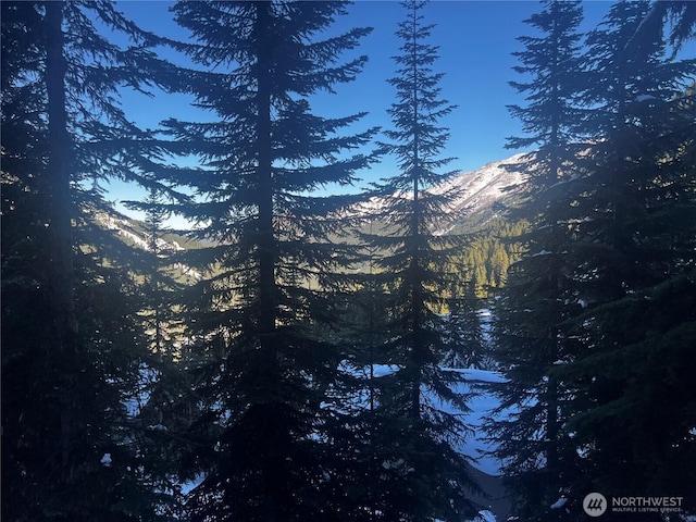 210 Gold Hill Rd, Enumclaw, WA 98022 - view of mountain backdrop with a heavily wooded area