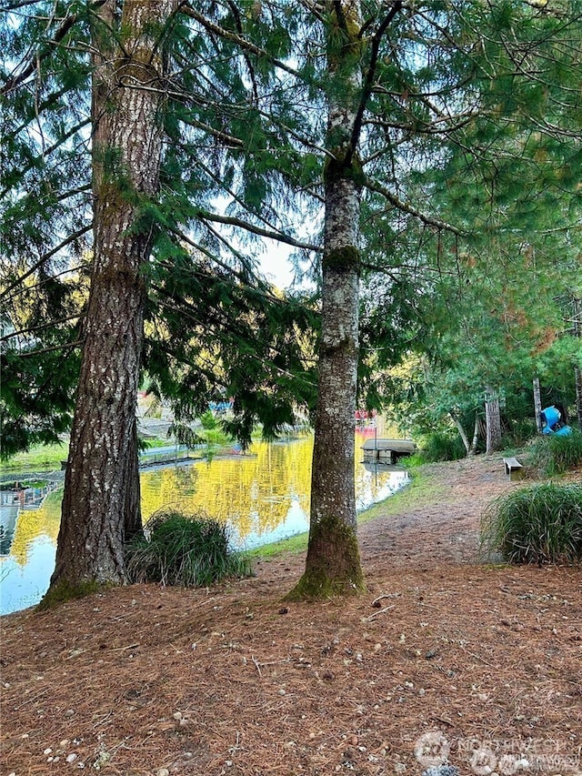 550 E Way To Tipperary, Shelton, WA 98584 - view of yard