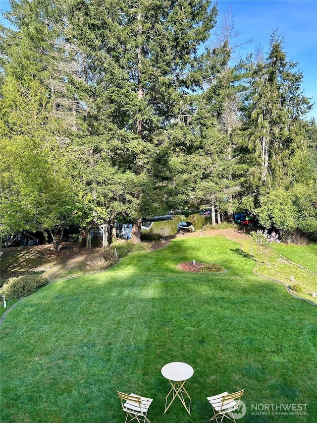 550 E Way To Tipperary, Shelton, WA 98584 - view of green lawn