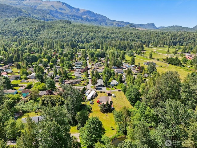 35605 158th St SE, Sultan, WA 98294 - bird's eye view of a heavily wooded area and a mountain backdrop