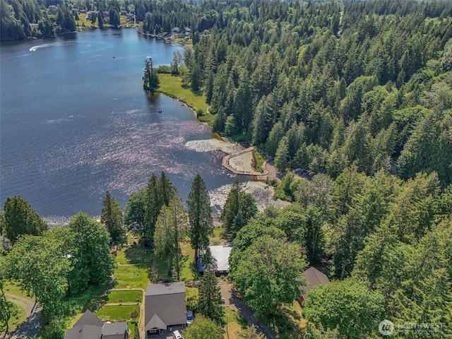 4902 Weber Rd, Snohomish, WA 98290 - aerial overview of property's location with a large body of water and a forest