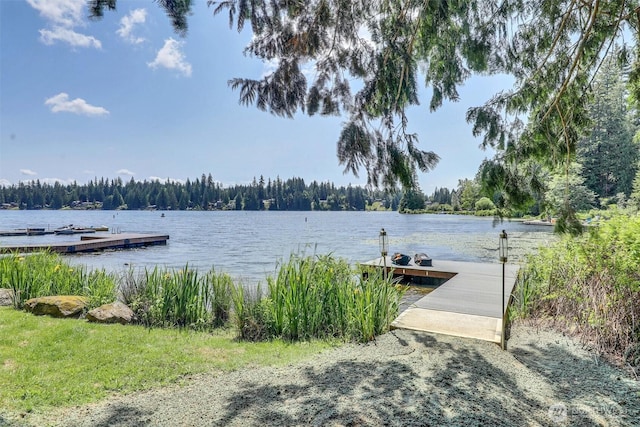 4902 Weber Rd, Snohomish, WA 98290 - dock area with a water view, a forest view, and a boat ramp