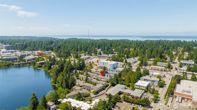 1132 N 198th St Unit C204, Shoreline, WA 98133 - bird's eye view of a heavily wooded area and a nearby body of water