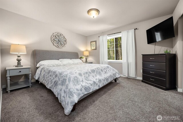 4730 194th Pl NW, Stanwood, WA 98292 - photo 16