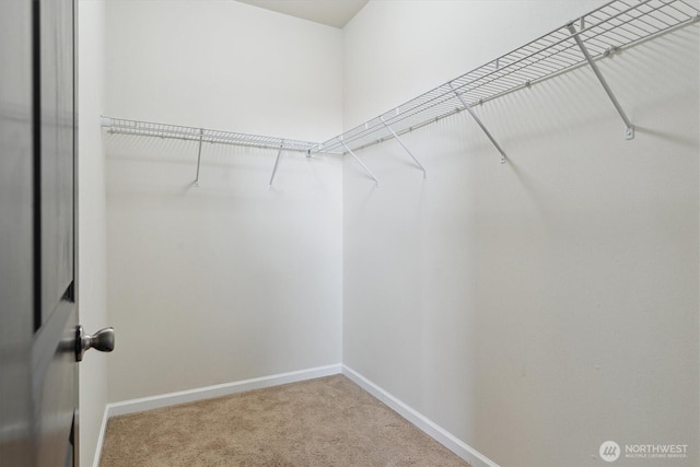19218 18th Avenue Ct E, Spanaway, WA 98387 - walk in closet with carpet floors