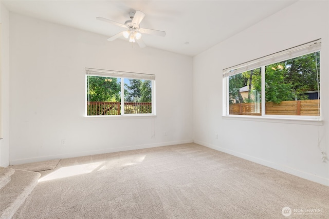 5209 S Dawson St, Seattle, WA 98118 - photo 18