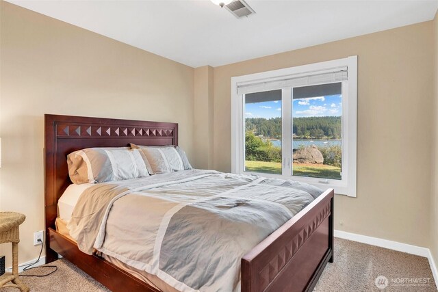 1794 Bayshore Rd, Lopez Island, WA 98261 - bedroom featuring carpet flooring, baseboards, and a water view