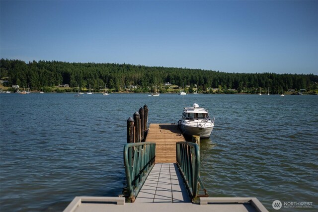 1794 Bayshore Rd, Lopez Island, WA 98261 - dock with a view of trees and a water view