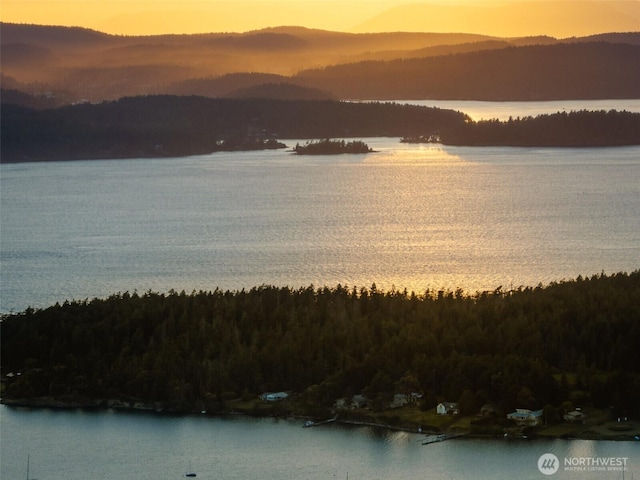 1794 Bayshore Rd, Lopez Island, WA 98261 - water view with a forest