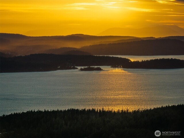1794 Bayshore Rd, Lopez Island, WA 98261 - water view with mountains