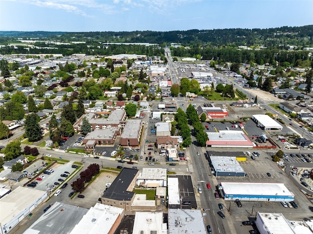 408 N Meridian, Puyallup, WA 98371 - photo 19