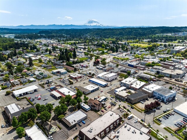 408 N Meridian, Puyallup, WA 98371 - photo 21