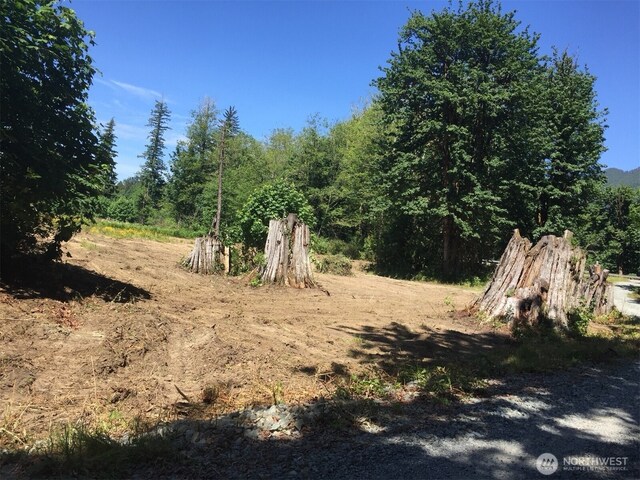 33102 33110 State Route 530 NE, Arlington, WA 98223 - photo 4