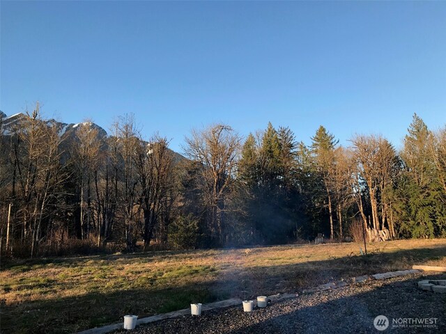 33102 33110 State Route 530 NE, Arlington, WA 98223 - photo 6