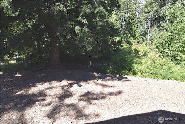 1103 Whidbey St, Bellingham, WA 98229 - view of tree filled area