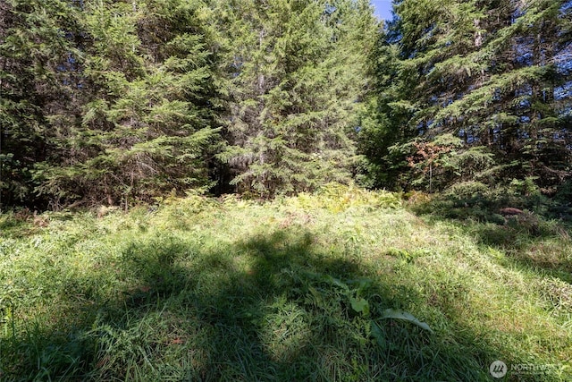 22506 State Route 706 E, Ashford, WA 98304