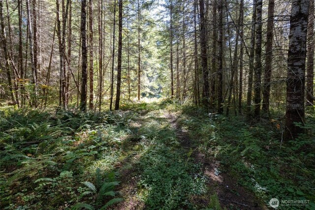 22506 State Route 706 E, Ashford, WA 98304