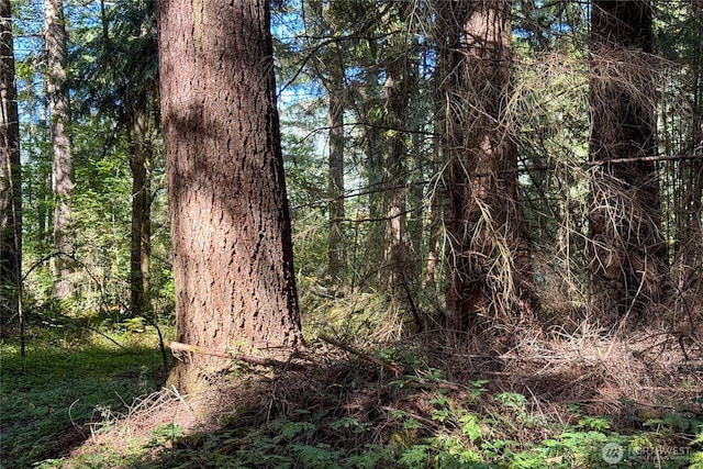 22506 State Route 706 E, Ashford, WA 98304