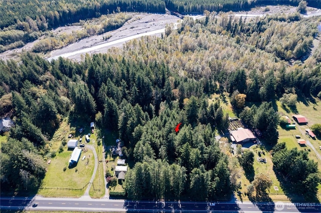 22506 State Route 706 E, Ashford, WA 98304