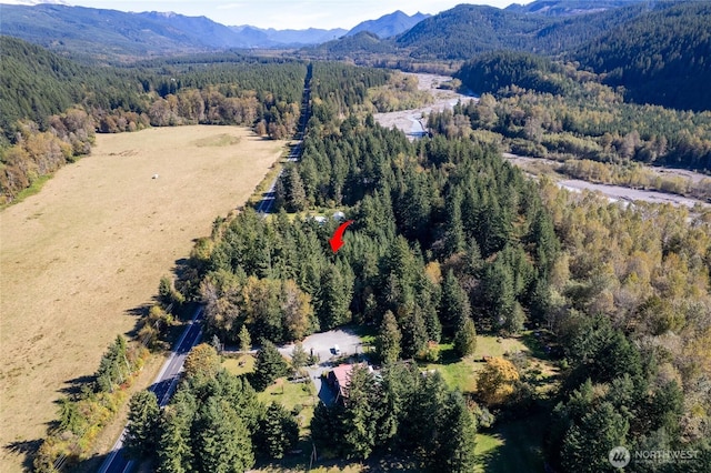 22506 State Route 706 E, Ashford, WA 98304