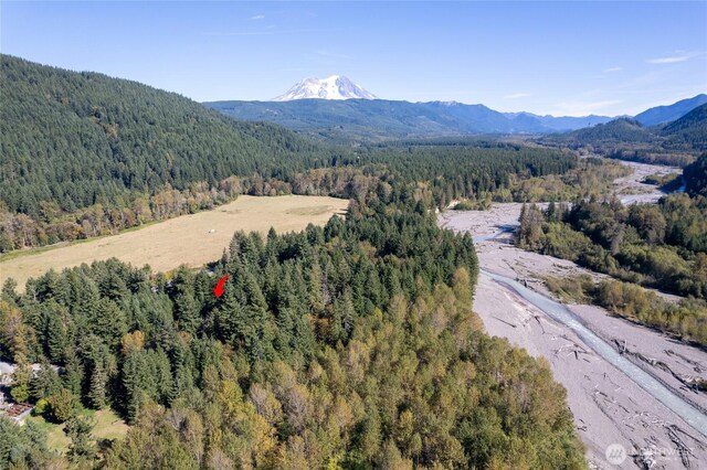 22506 State Route 706 E, Ashford, WA 98304