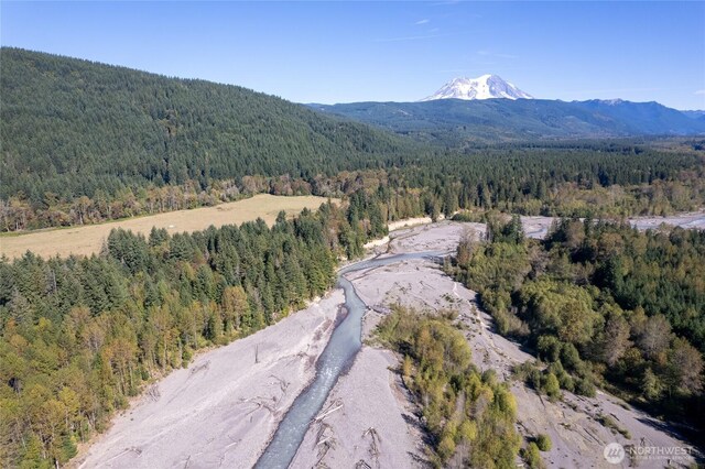 22506 State Route 706 E, Ashford, WA 98304