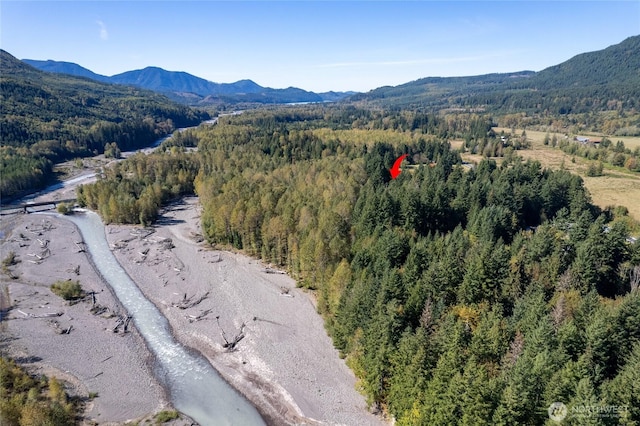 22506 State Route 706 E, Ashford, WA 98304