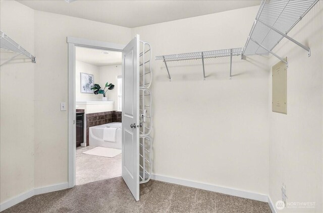 1615 Redmond Ct NE, Renton, WA 98056 - photo 19