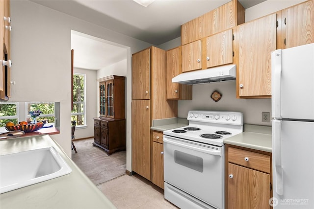 625 N Jackson Ave Unit A9, Tacoma, WA 98406 - kitchen featuring white appliances, under cabinet range hood, light countertops, and a sink