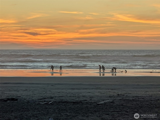 366 Lake View Loop NE, Ocean Shores, WA 98569 - water view featuring local beach